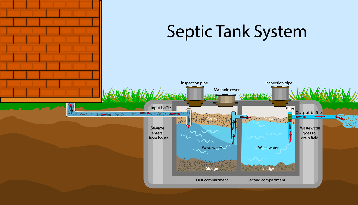 Septic System Diagram